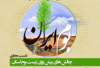 سلسه نشست های مجازی بررسی مسائل محیط زیست و منابع طبیعی « بوم ایران » برگزار شد