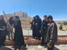 برگزاری آیین درختکاری در جهاددانشگاهی استان