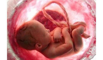 قدرت فوق‌العاده سلول‌های خون بند ناف در درمان بیماری‌ها