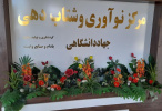 مرکز نوآوری و شتابدهی جهاددانشگاهی استان رتبه برتر را کسب کرد