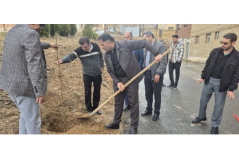جهادگران جهاددانشگاهی واحد چهارمحال و بختیاری اقدام به کاشت درخت در محوطه جهاددانشگاهی کردند